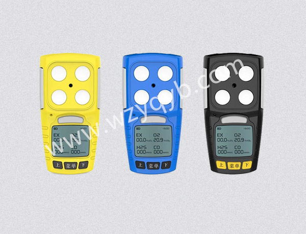 便攜式氣體檢測儀多組分